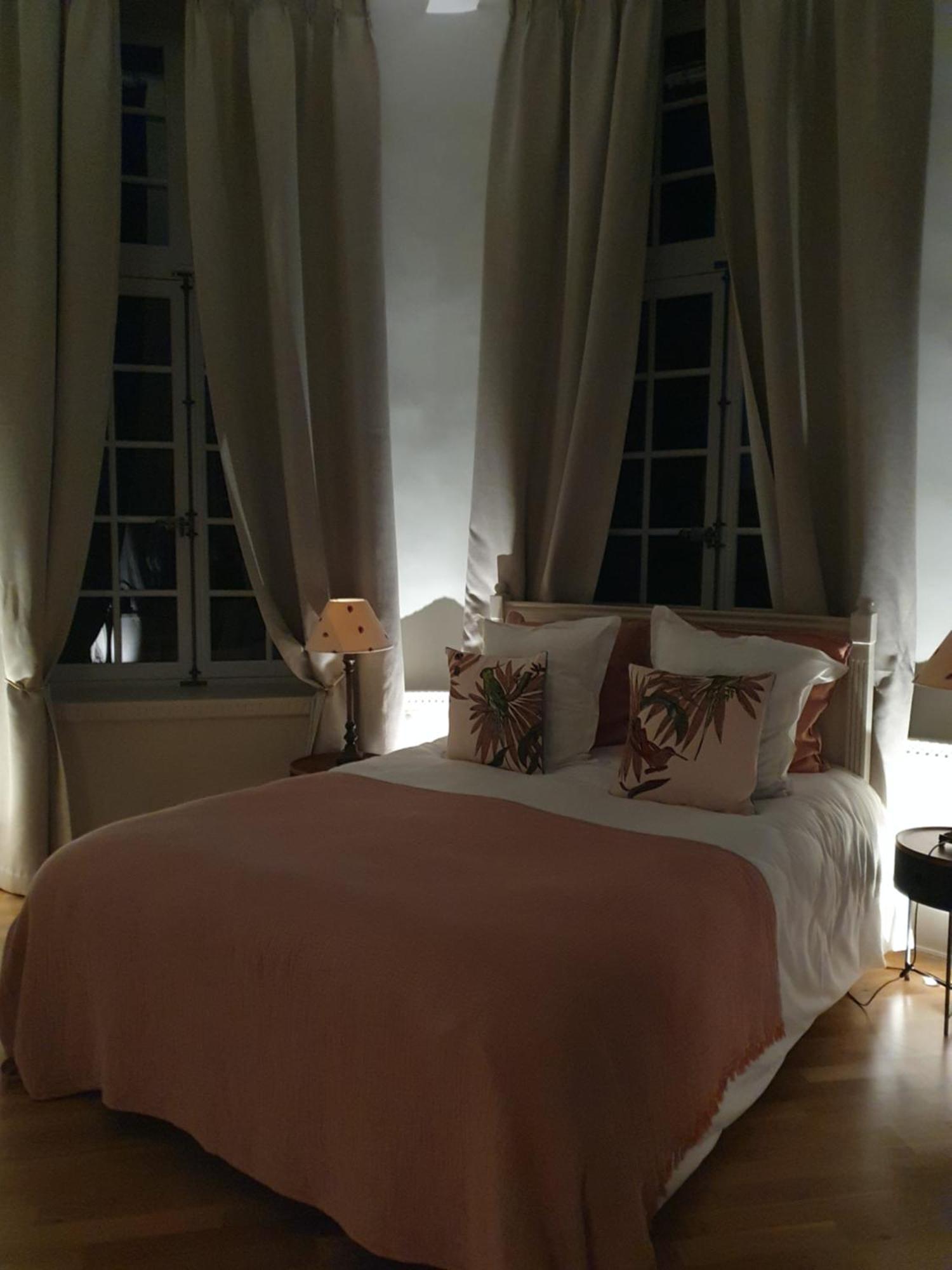 Chateau Du Bois De La Noe Bouaye Zewnętrze zdjęcie
