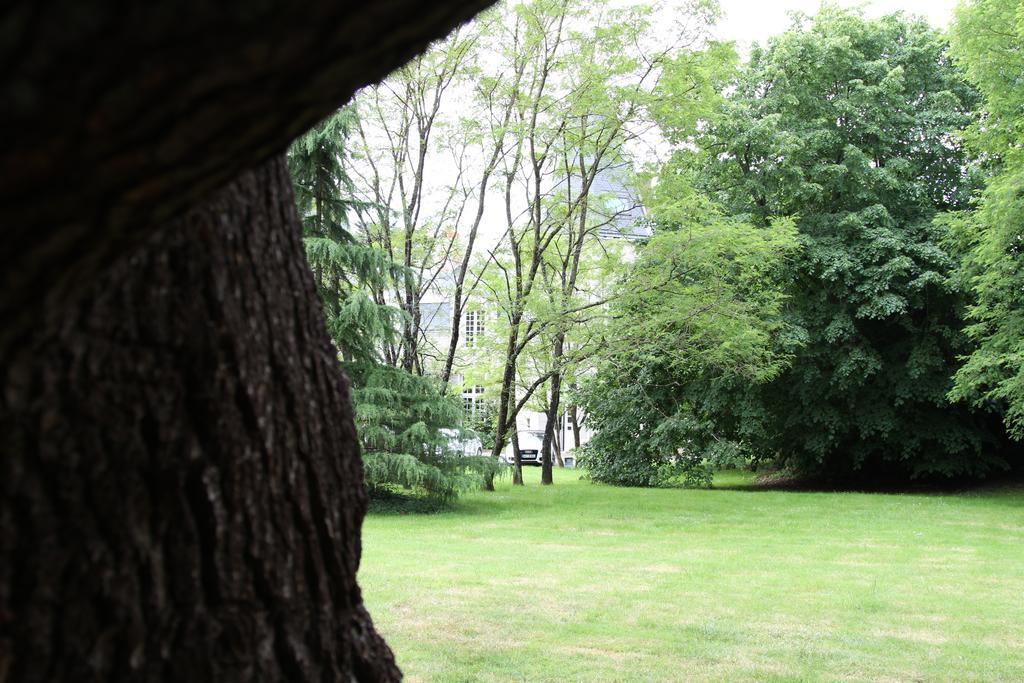Chateau Du Bois De La Noe Bouaye Zewnętrze zdjęcie
