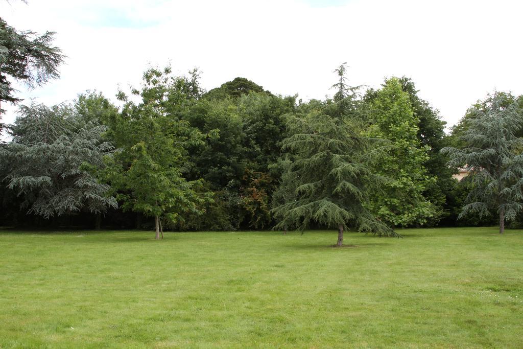 Chateau Du Bois De La Noe Bouaye Zewnętrze zdjęcie