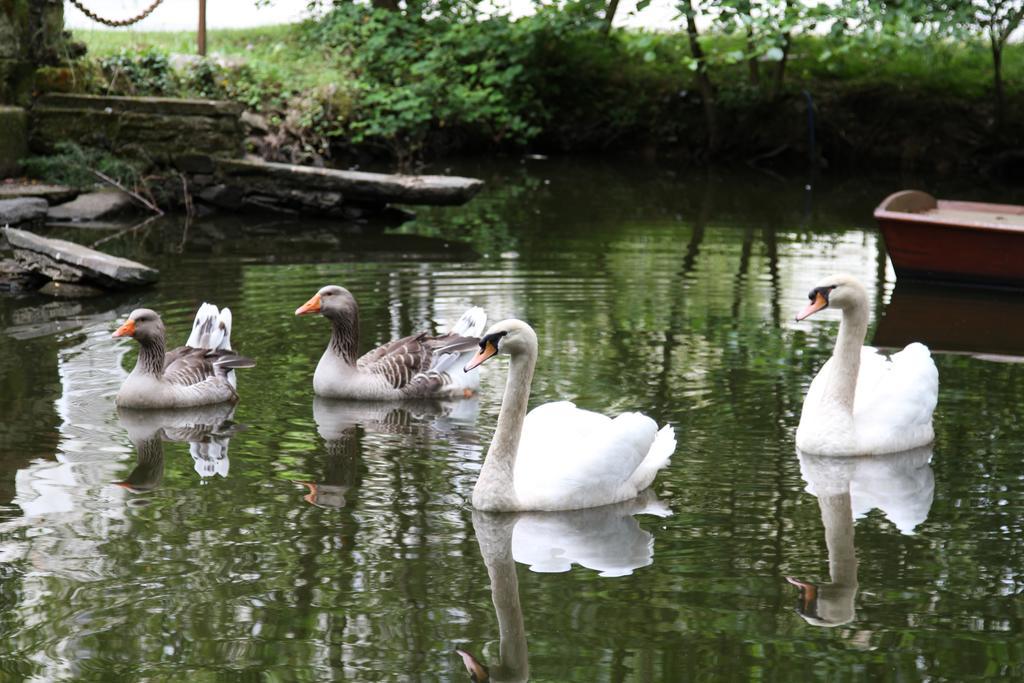 Chateau Du Bois De La Noe Bouaye Zewnętrze zdjęcie